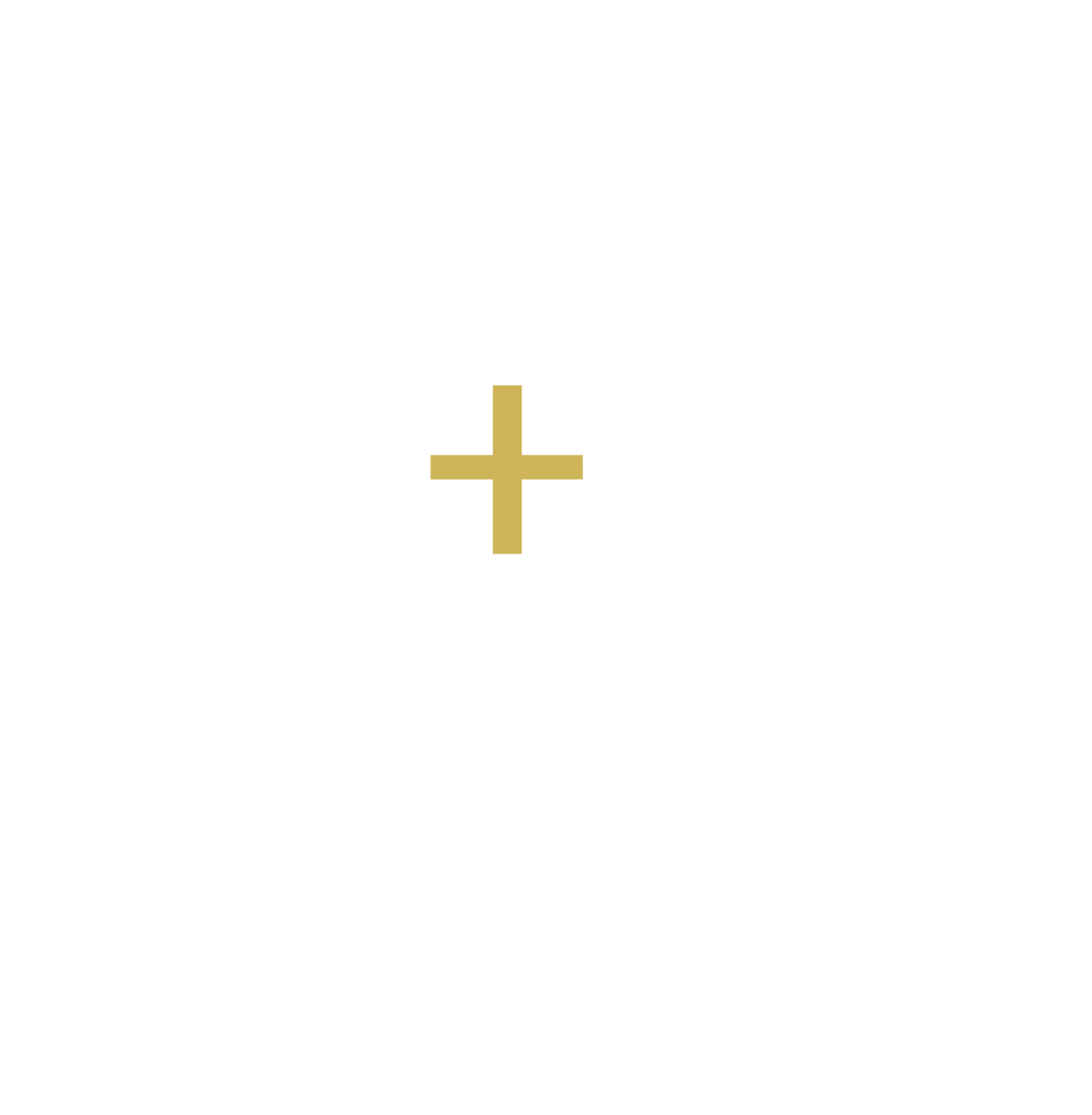 Logo Grupo E+D - blanco